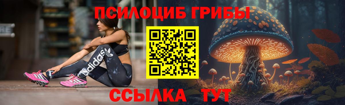 Галлюциногенные грибы Psilocybe  закладка  Строитель  Псилоцибиновые грибы Magic Shrooms  Вход с VPN 